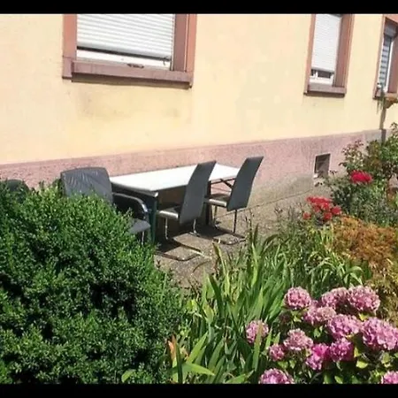 Zen Gare/laiterie, Eau Pure, Chat *